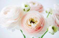 pink and white flowers are in a vase on the table royalty - fotor