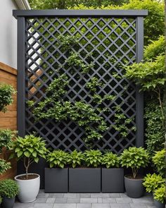 an outdoor area with potted plants and a trellis