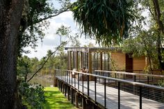 a wooden walkway leading to a house in the woods