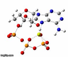 the structure of an antioxidamide is depicted in this image, and it appears to be made up of multicolored balls