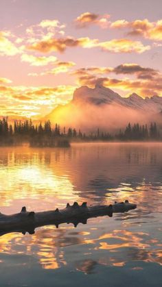 the sun is setting over a mountain lake with logs in the foreground and clouds in the background