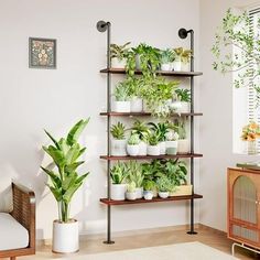 Plant Shelf Indoor, Plant Stand Large, Diy Plant Stands, Ladder Plant Stand, Ladder Stands, Plant Rack, 4 Tier Shelf, Indoor Balcony, Tall Plant