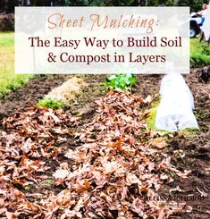 the easy way to build soil and compost in layers with text overlay that reads,