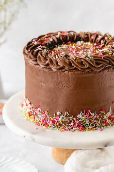 a chocolate frosted cake with sprinkles on top