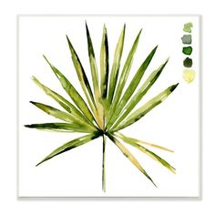 a painting of a palm leaf on a white background with green and yellow colors in the center