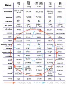 5 Elements from TCM   *Fire  *Water  *Air/Wood  *Earth  *Metal/Spirit/Ether   a couple of them have alternating otherwise this pattern has ... Element Chart, Functional Nutrition, Health Chart, Eastern Medicine, Elemental Magic, Drying Racks, 5 Elements, Health And Wellness Coach, Akron Ohio