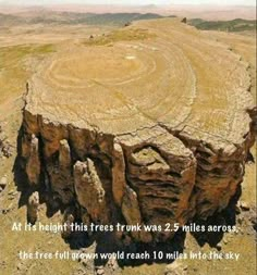 an aerial view of a tree stump in the middle of nowhere, with caption about it