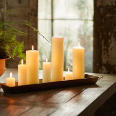 lit candles sit on a tray next to a potted plant