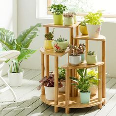 three tiered wooden plant stand with potted plants