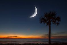 a crescent moon is seen over the ocean at sunset with palm trees in foreground