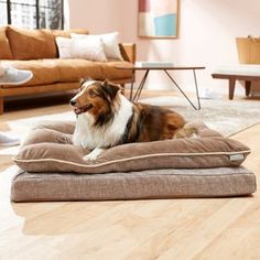 a dog is laying on his bed in the middle of a living room with two people