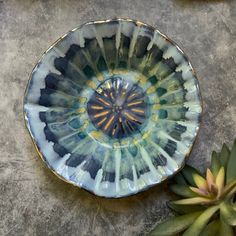 a blue and green bowl sitting on top of a table next to a succulent plant