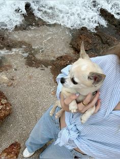 a woman is holding a small dog on her lap by the ocean water and rocks