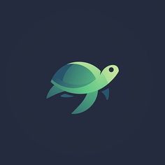 a green turtle logo on a dark background