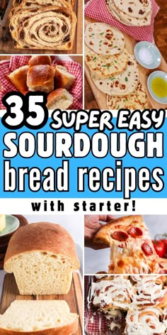 the top five super easy sourdough bread recipes with startner's guide