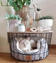 a cat is sitting in a cage on the floor next to plants and other items