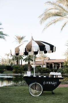 an ice cream cart with two umbrellas on it in front of a lake and palm trees