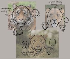 some drawings of different types of animals and their names are shown in the above image