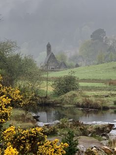 a small stream running through a lush green field next to a forest filled with yellow flowers