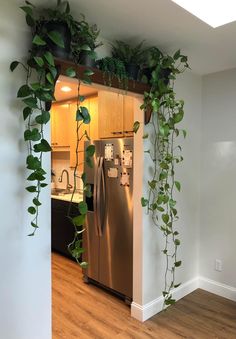 a kitchen with a refrigerator covered in plants