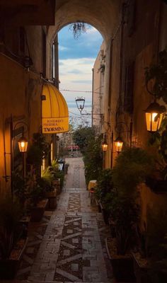 an alley way with potted plants and lights on either side, leading into the distance