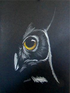 an owl's eye is drawn on a piece of black paper with white chalk