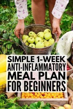 Headache Diet, Paleo Diet For Beginners, Autoimmune Paleo Diet, Meal Plan For Beginners, Anti Inflammation Recipes, Inflammation Diet