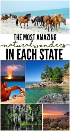 the most amazing natural wonders in each state, including horses and other things to see