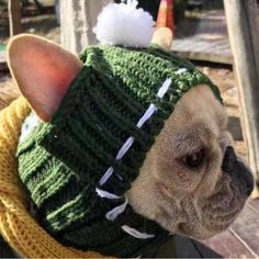 French Bulldog Winter Woolen Cap - Green - Frenchie Complex Shop Dogs With Knit Hat, Knitting Hats For Dogs, French Bulldog Knitted Hat Pattern, French Bulldog Sweater Knitting Pattern, Free Knitting Patterns For Dogs Hats, Puppy Hats, Dog Beanie, Dog Hat, Winter Cap