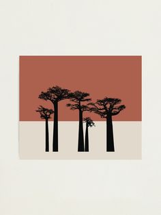 an orange and black photo with trees in the background on a white square paper frame