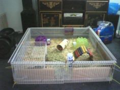 a caged animal is sitting in the middle of a room with other items on it