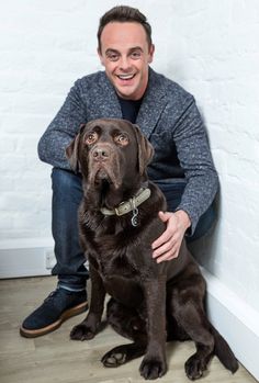 a man sitting next to a brown dog on top of a hard wood floor in front of a white brick wall