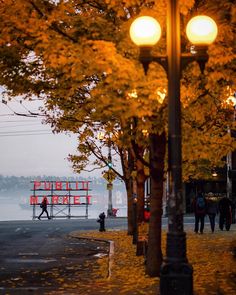 people are walking on the sidewalk near some trees