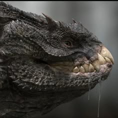 a close up of an alligator's head with water dripping from its mouth and teeth