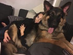 a woman laying on top of a couch next to a german shepard dog with its tongue hanging out