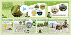 an image of plants and growing info sheet