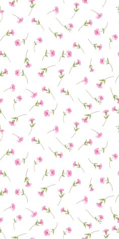 a white background with pink flowers on it