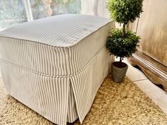 a small potted plant sitting on top of a rug next to a large ottoman