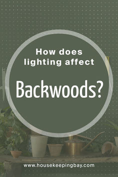 the words how does lighting effect backwoods? in front of potted plants