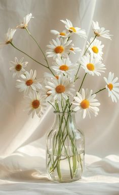 a glass vase filled with white and yellow daisies