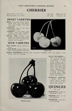 an old black and white advertisement for cherries