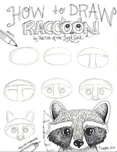 how to draw raccoon with different facial expressions and head shapes for children's drawings