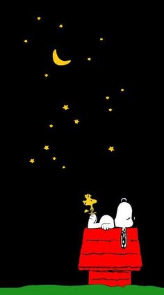 a snoopy dog laying on top of a roof at night with stars in the sky