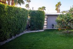 an orange tree in front of a house with green grass and palm trees around it