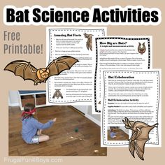 the bat science activities for kids