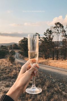 a person holding up a wine glass in the middle of a road with trees and grass