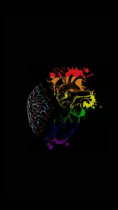 an image of the human brain with different colors