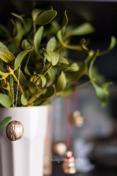 a white vase filled with green plants on top of a table