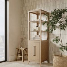 a room with a potted plant next to a book shelf