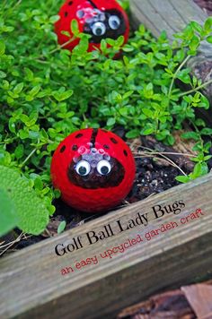 two ladybugs sitting on top of green plants in the grass with eyes painted on them